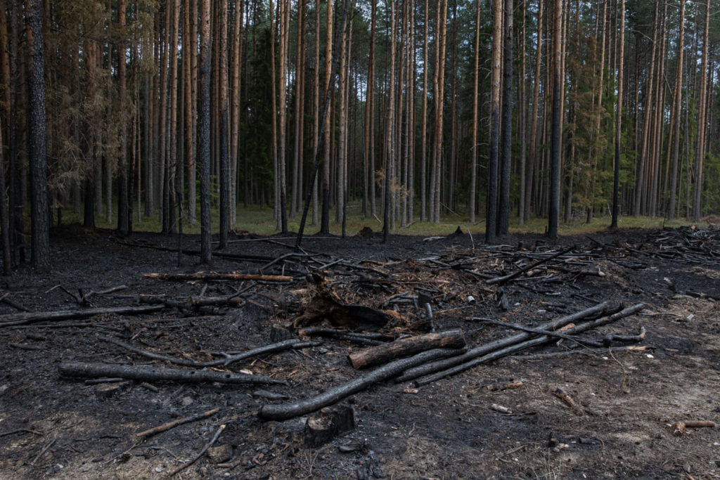Фото: Юлия Невская для НВ