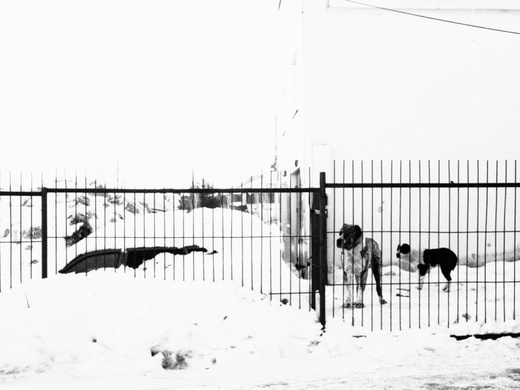 Фото: Евгения Жуланова для НВ