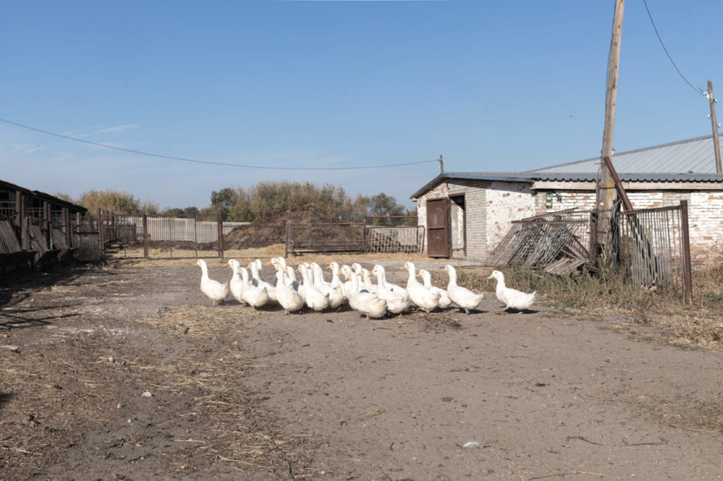 Фото: Анастасия Пентюхина для НВ